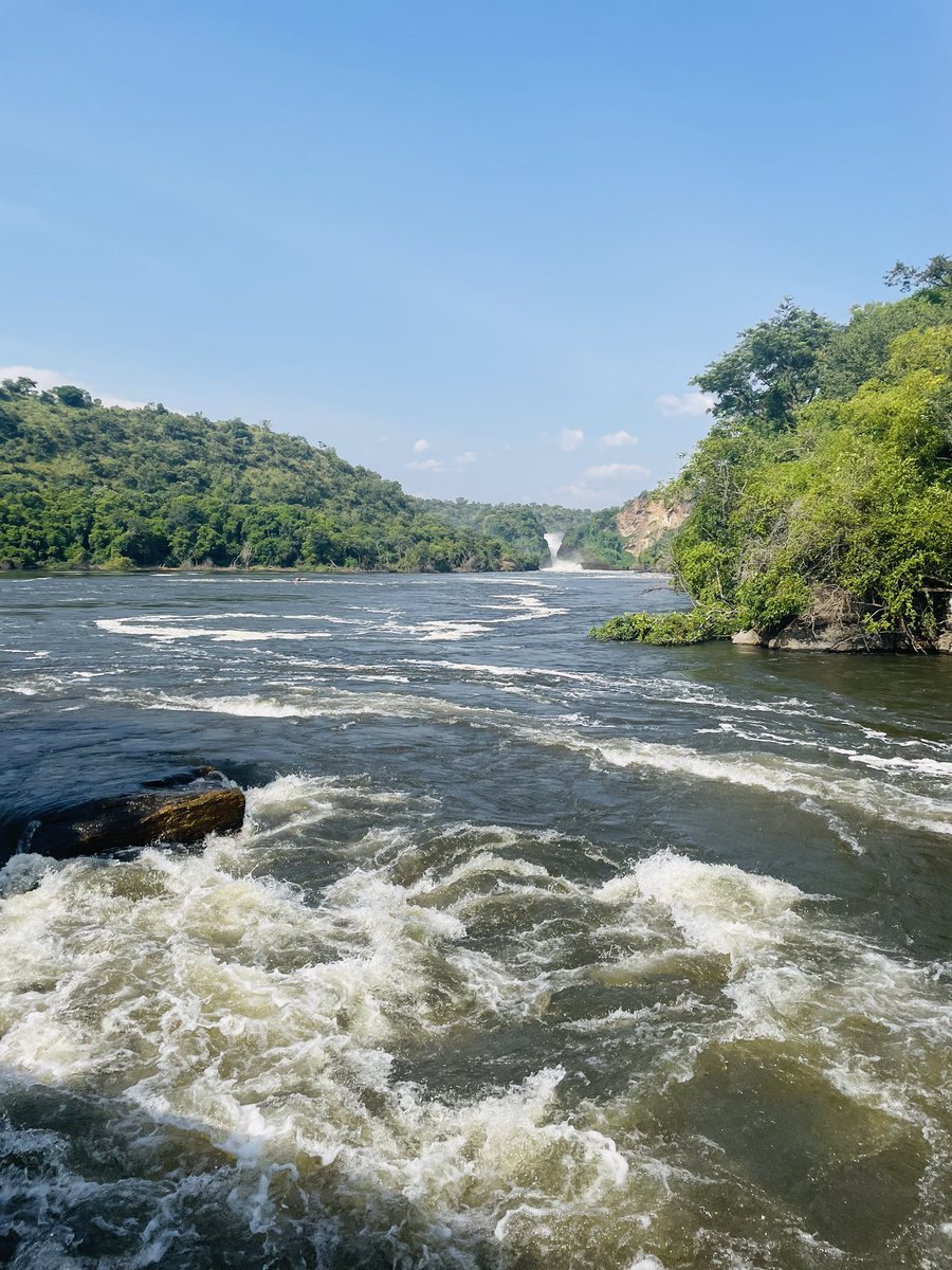 ZungaTours's tweet photo. Uganda the pearl of Africa 🇺🇬
📌 Murchison Falls 🏞 https://t.co/VDEdOO6zDn