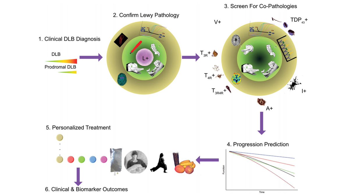 JToledo46333006's tweet photo. Collaboration of the #LBDPIA @ISTAART team. We review the high prevalence of co-pathologies in DLB, our incomplete knowledge of its clinical impact, and what tools and designs can help move forward. Applicable to other neurodegenerative diseases #ENDDLB https://t.co/QnZSPlO3Rh https://t.co/KWYGxKqTrK