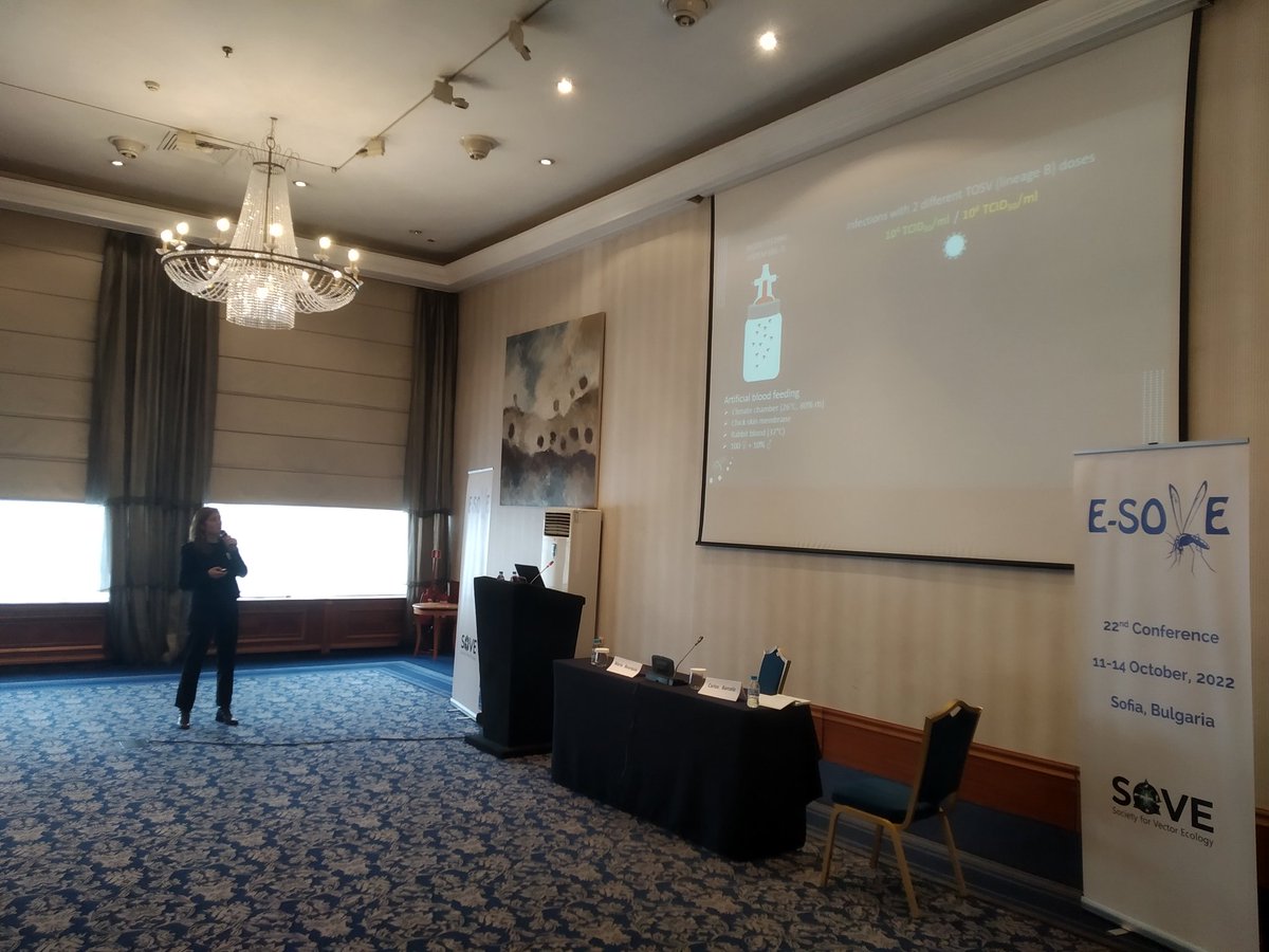 CarlosZooUIB's tweet photo. It has been a pleasure to take part of the last symposium of the European @_SOVE_  Host pathogen vector interactions II with @BourquiaMaria . Very interestig talks by Lison Laroche, Anastasia Angelou and Romain Girod https://t.co/4lkKiWnB9x