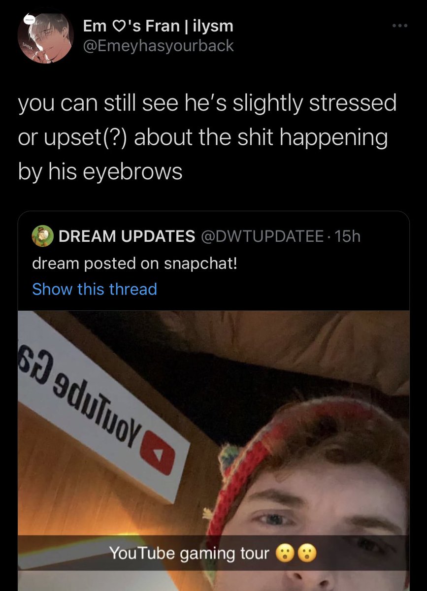 NlGHTH00D's tweet photo. There’s so much going on in this fucking tweet LMAO first the yaoi pfp then the b-tier psychoanalyzation of Dream and then the fact that they’re acting like this is a whole ass revelation plsss https://t.co/sLdomfmtFd