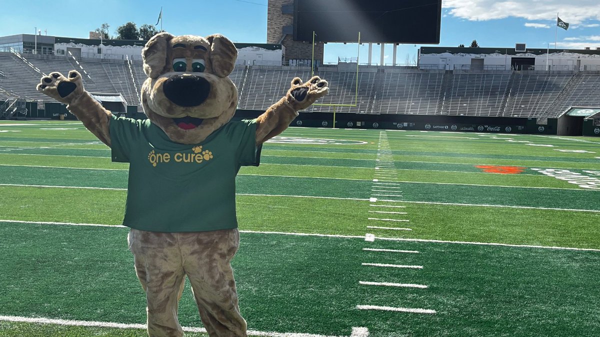 Oct. 22, #OneCure is teaming up with @CSUFootball to tackle #cancer, and our team captain Hope is ready! We could use your help, too! We’re hoping to raise $20,000 to unlock $20,000 in matching funds. Donate to help us tackle cancer in pets and people! bit.ly/3SYMwns