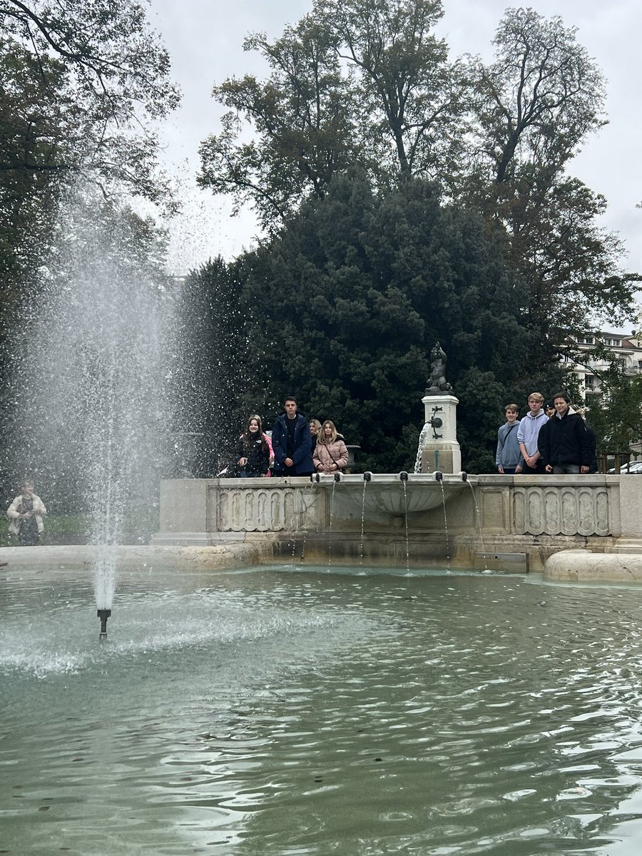 Mrs Javed tweet media