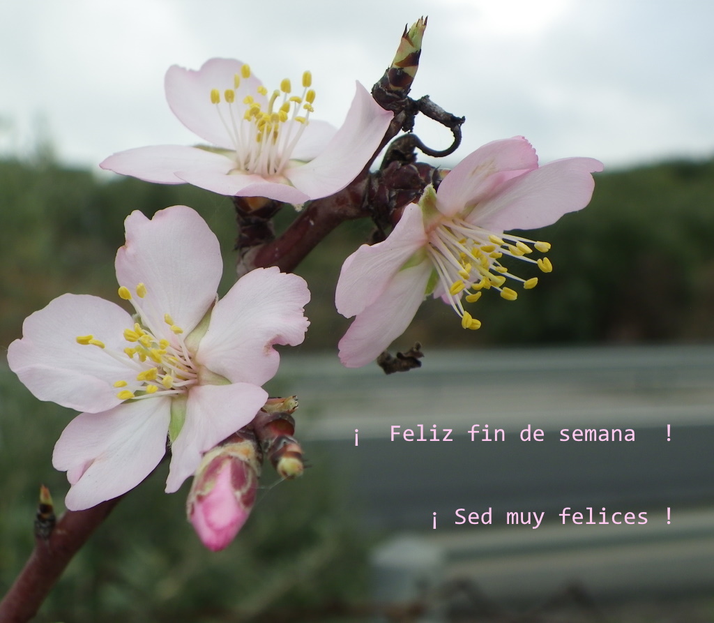 #FelizFindeSemana, #HappyWeekend