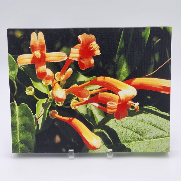 DKW Gallery & Studio tweet media