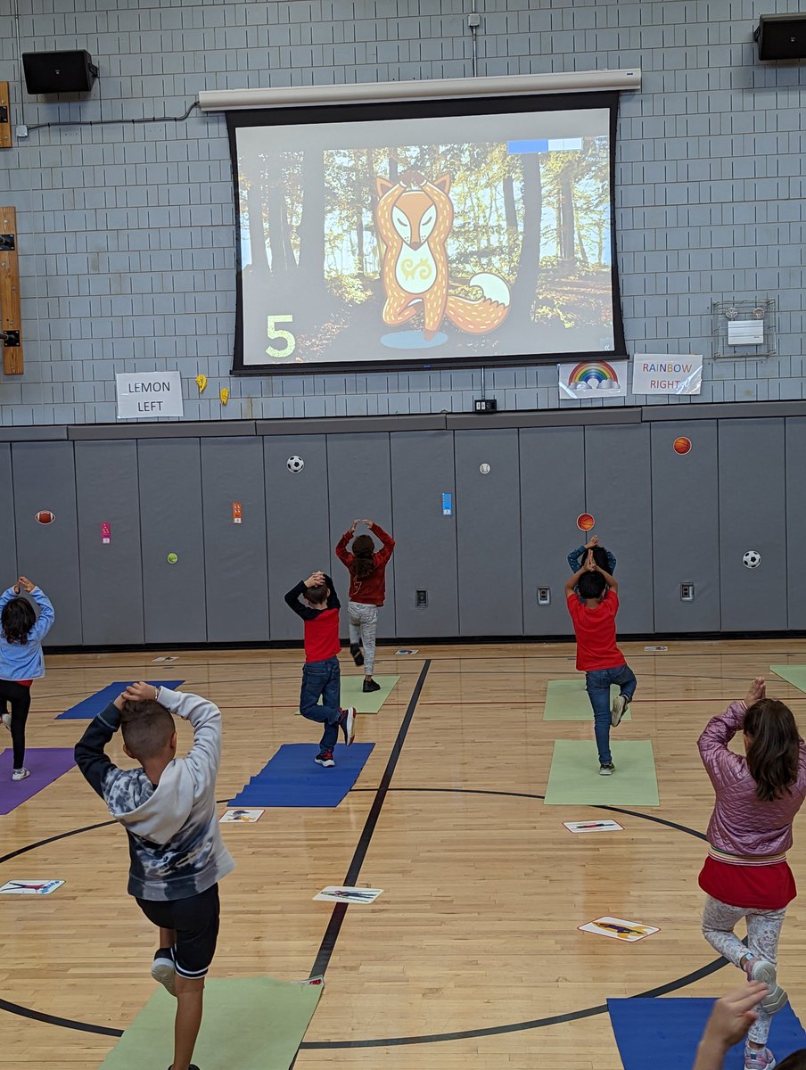 Waverly Physical Education tweet media