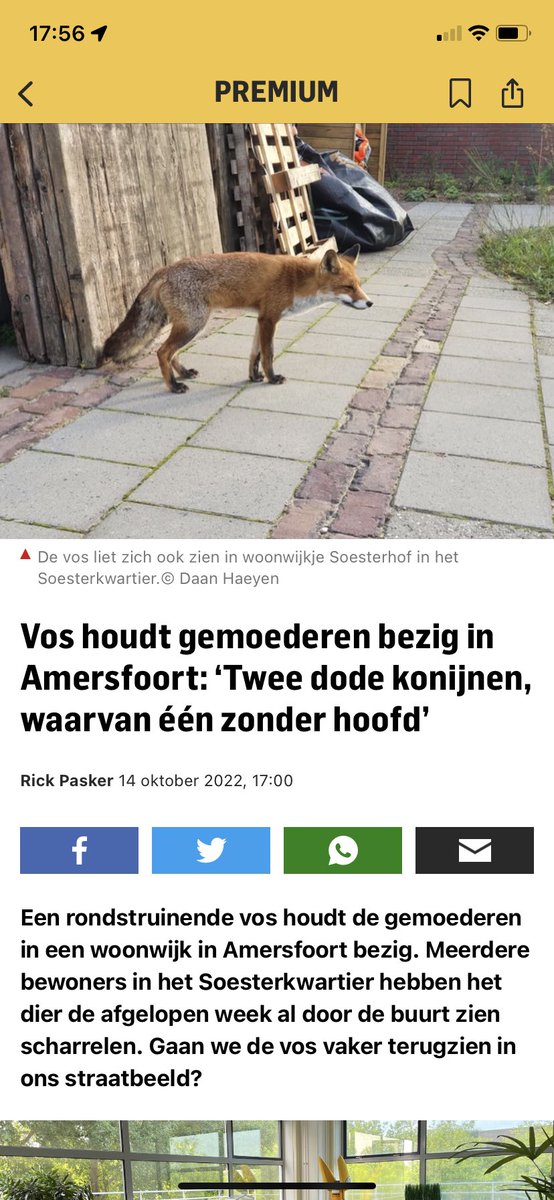 Disaste89061869's tweet photo. @wilfredgenee @vandaaginside Soest is nog maar een paar KM vanaf Amersfoort. Dus niet alleen in Grolloo. 

Sinds wanneer is een stad ook al echte natuur. @Merelek stuur ze terug 🙃 https://t.co/zIqX0x07VB