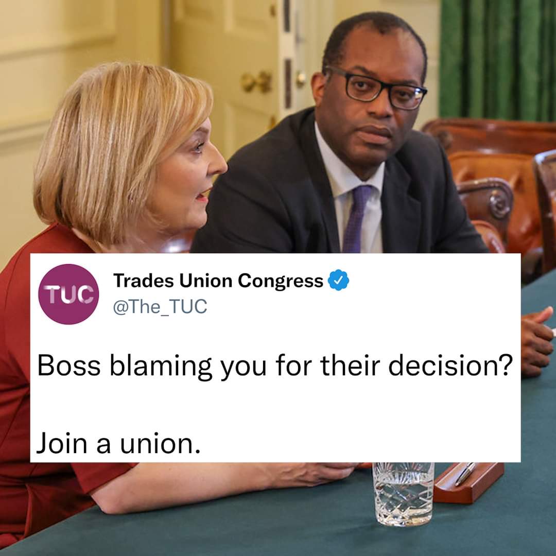 BRILLIANT 👇👇👏👏👏👏 😂