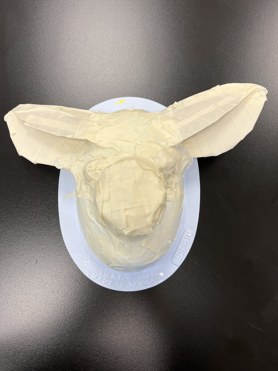 macdougallannie's tweet photo. Almost ready to start plaster. The 6th graders have been using their engineering, problem solving, and critical thinking skills to create their sculpture bases in art class. 💚🤍🎨 @NCSD  @NoviMeadows @NoviK6Electives #noviart https://t.co/NlnTpwimIr