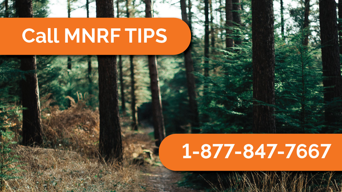 Ontario Natural Resources and Forestry on Twitter "DYK we have a TIPS