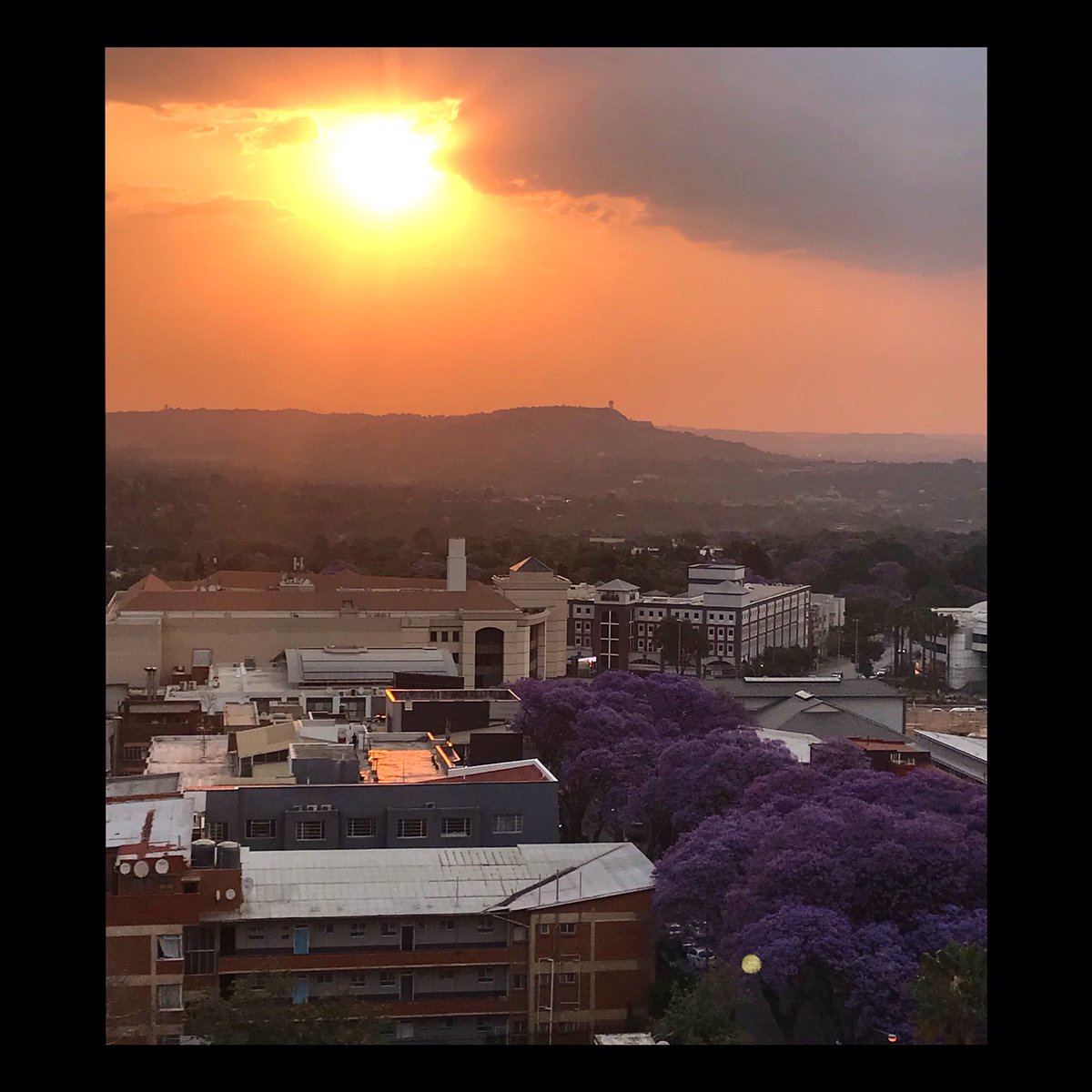 ralphkretschmar's tweet photo. The #Jacaranda trees are blooming. It's going to be summer! 🌸☺️☀️ And hopefully the first rain will come soon! 😅🌧 Have a nice weekend! 👨🏻‍🎨🐈‍⬛🎊 _ #jozi #johannesburg #theboyfrombehindthewall #sunsetphotography _ https://t.co/vxlEyrmX6P