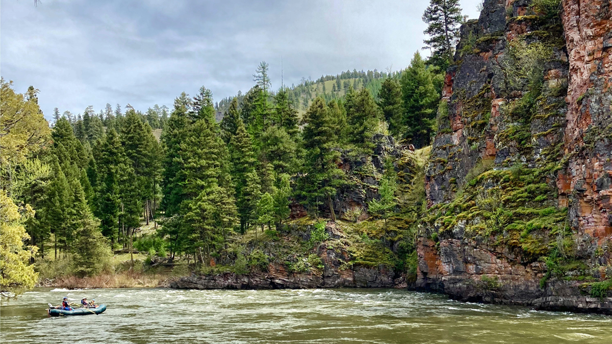 conservationall's tweet image. #granteespotlight #FundedProjectFriday 
 @wildmt - Project funded in 2021
Wildlife and Recreation Protections for Iconic Montana Rivers: To permanently protect  79,000 acres through federal legislation. 
Keep reading: conservationalliance.com/grants/wildlif…
📸:: Erin Clark