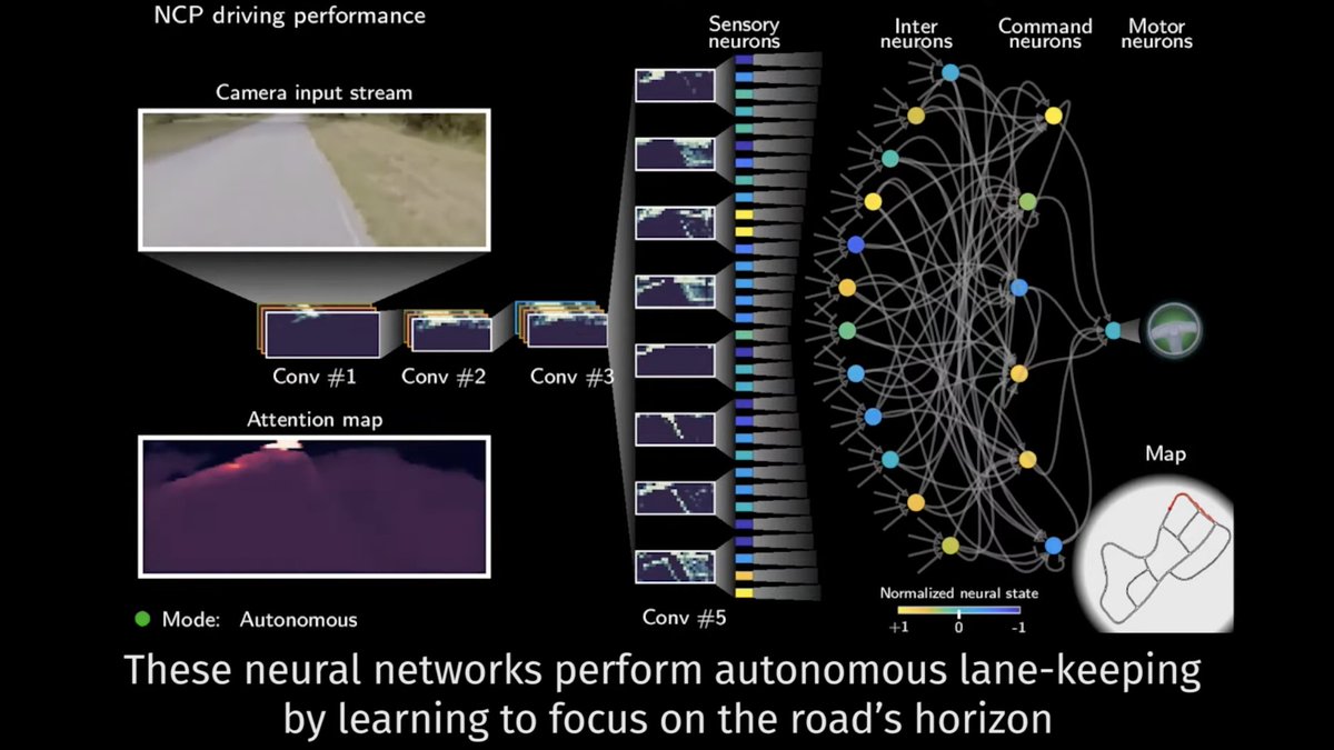 This autonomous car can drive itself using only 19 control neurons. Video: bit.ly/33UgFgz (w/@ISTAustria @tuvienna)