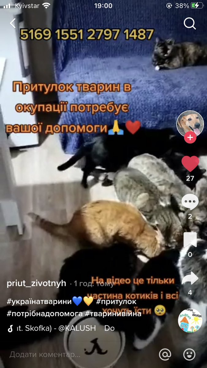 🇺🇦|_|_| |/| |\/| ⭕²³ tweet media
