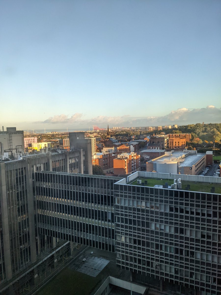 Peter Wright tweet media