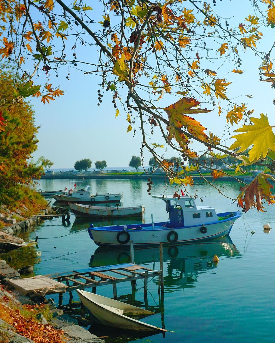 neredekal's tweet photo. Hafta sonunu İstanbul’da geçirecekler için bir öneriyle geldik! 🌳
#keşifönerisi : Florya
📸 @serkancck
📍 Florya, Bakırköy, İstanbul
#florya #istanbul #istanbulviews #öncetürkiyeyikeşfet https://t.co/WrsKq1plgz