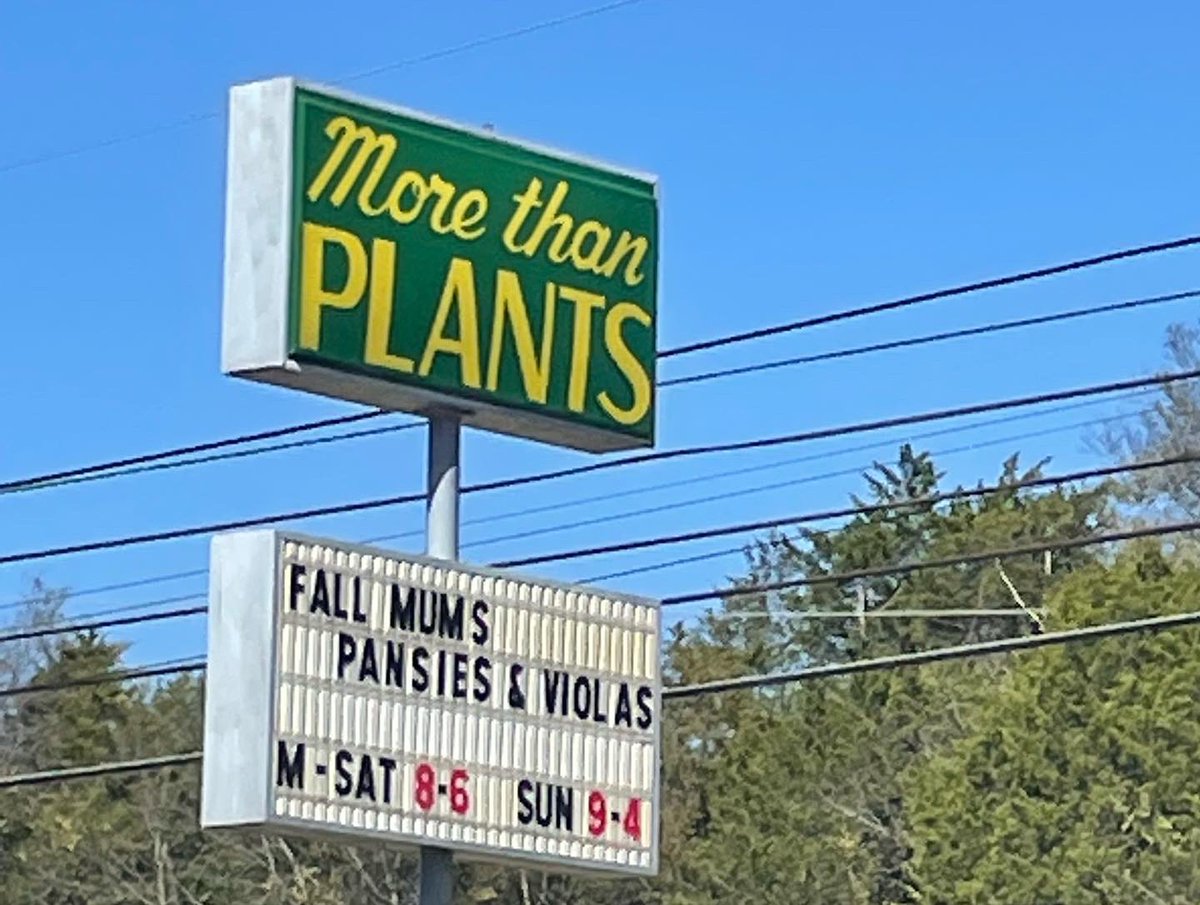 FSnackshack's tweet photo. We are serving More Than Plants again! Here from 11-3 then heading to the Jonesborough Halloween Festival🎃 from 5-9. Special today is plant-based chicken Alfredo! 🤤 #yum #foodtruck #strawberryplains #plantbased https://t.co/53cwdXHzPW
