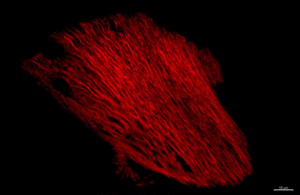 Jens Jakobsen tweet media