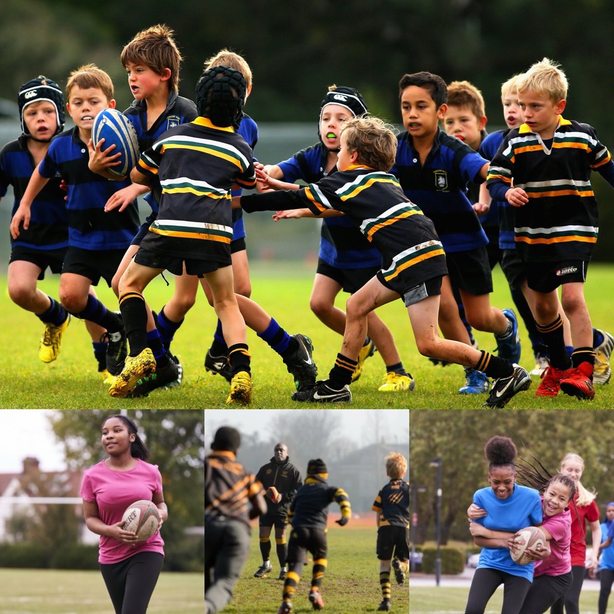 Progressive Rugby tweet media