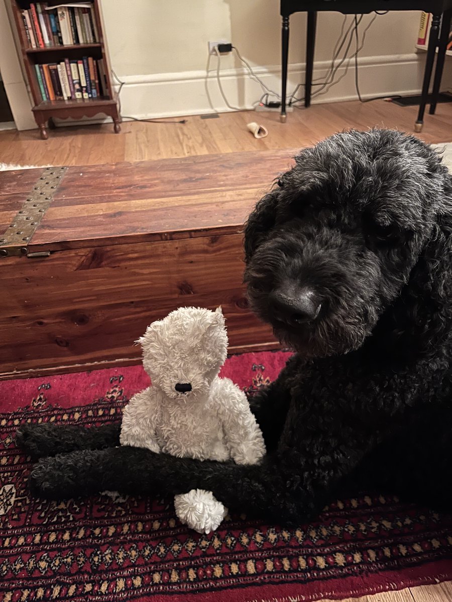 labonnelab's tweet photo. Missing this very good boy https://t.co/5rVT4LagrZ