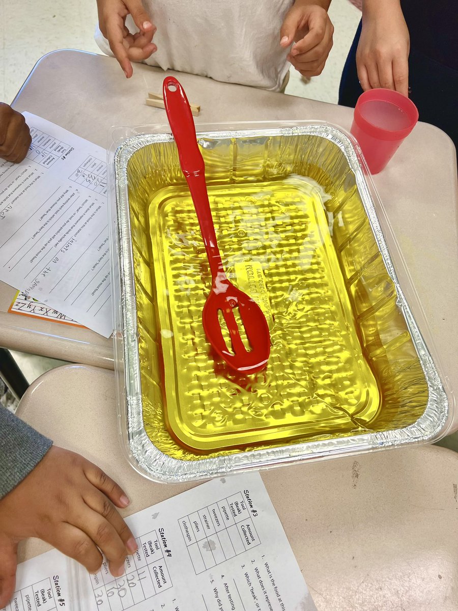 NWETigers's tweet photo. Last week, our 4th grade scholars simulated animal adaptations by testing how effective different tools were for collecting various “food” sources! @PCS_STEM https://t.co/CZRJ4nyGLJ