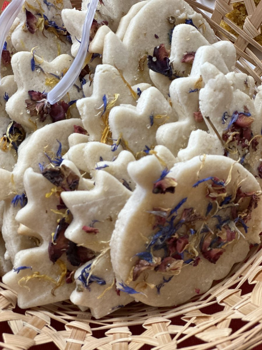 Come join the Biology Department for some coffee and some special treats! 🐜🌸🦗