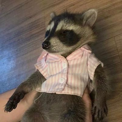 CarterDylan1995's tweet photo. @bobinskysrats https://t.co/xyrz7JY8Zm