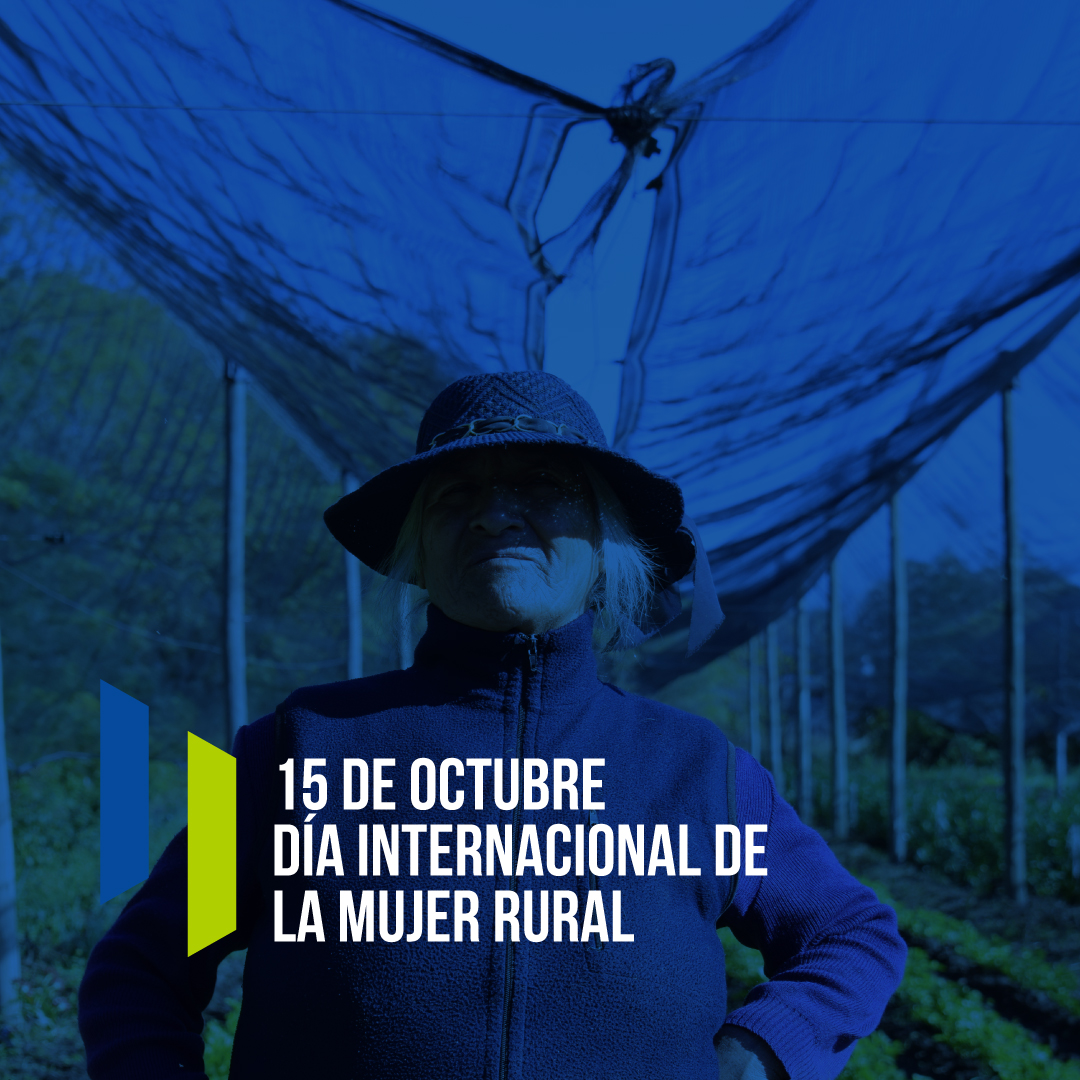 MPASFE's tweet photo. 🥦Las mujeres son integrantes esenciales de nuestra ruralidad. Día a día, producen gran parte de los alimentos frescos que consumimos y sostienen el entramado social de la vida rural. 

 Desde el #MercadodeSantaFe las saludamos y las celebramos 🙌 

¡Feliz día! https://t.co/MObfpPs2dv
