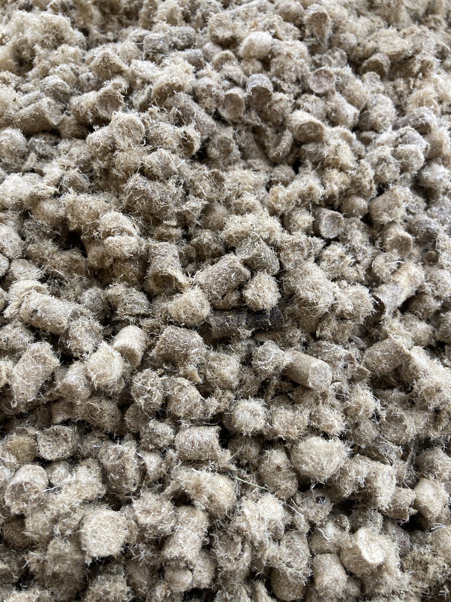 The Welsh mountain sheep wool donated to the project by <a href="/BritishWoolFarm/">British Wool Farm</a> has arrived back from the pelleting company ready for it to be evaluated as a growth medium for green protein forages in our glasshouse experiment