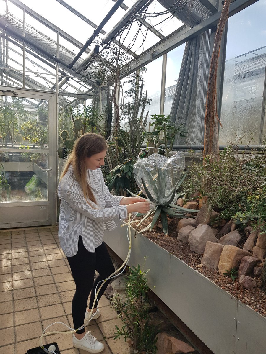 Prof. Riikka Rinnan tweet media