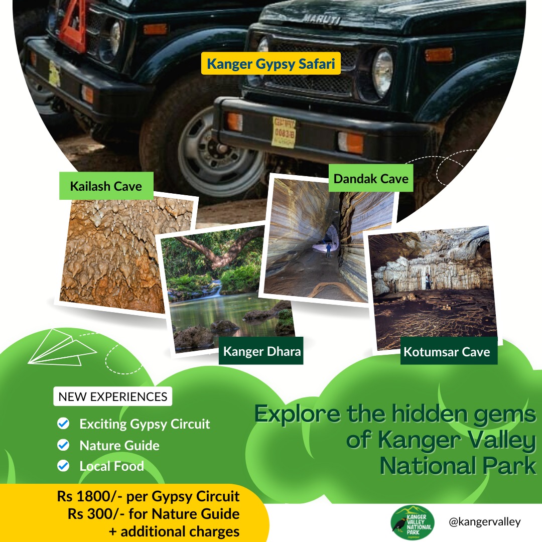 KangerValleyNP's tweet photo. Kanger Valley National Park is opening its gates tomorrow - 15th October 2022, for the upcoming season. And so the new experiences are awaiting your presence.

Explore the natural gems through the new Gypsy Safari circuits and get bewildered.
#kangervalley #kangerecotourism #kvnp https://t.co/nHD9aobQz3
