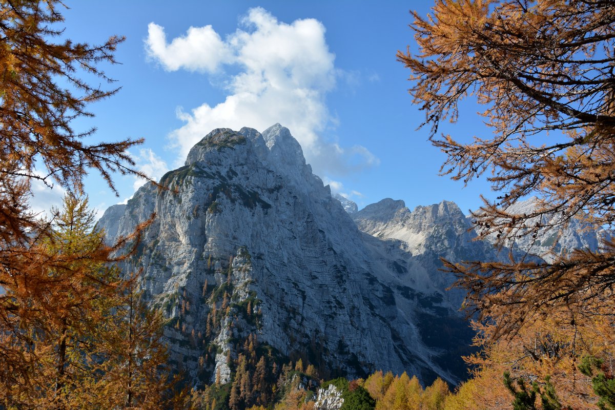 As coordination chemist I like beautiful colours of metal complexes in the lab. However, I enjoy even more in colours found in mother Nature, especially in autumn.❤️😉