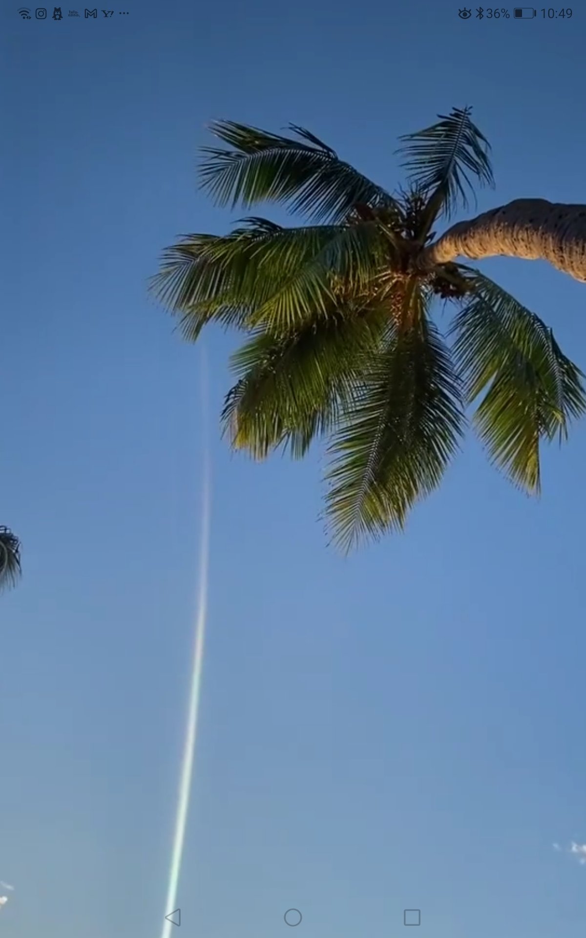 Cona Rainbow Conarainbow Twitter