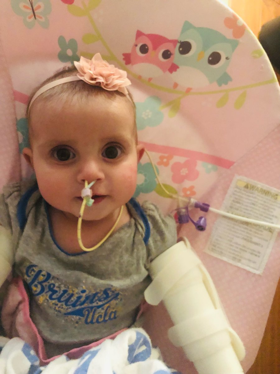 Jeff Guhin tweet media