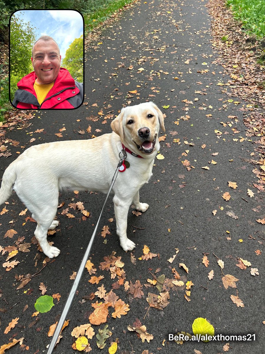 AlexThomasOT's tweet photo. Love the walks with this one 🐶❤️ https://t.co/C1Vrv9cOuE