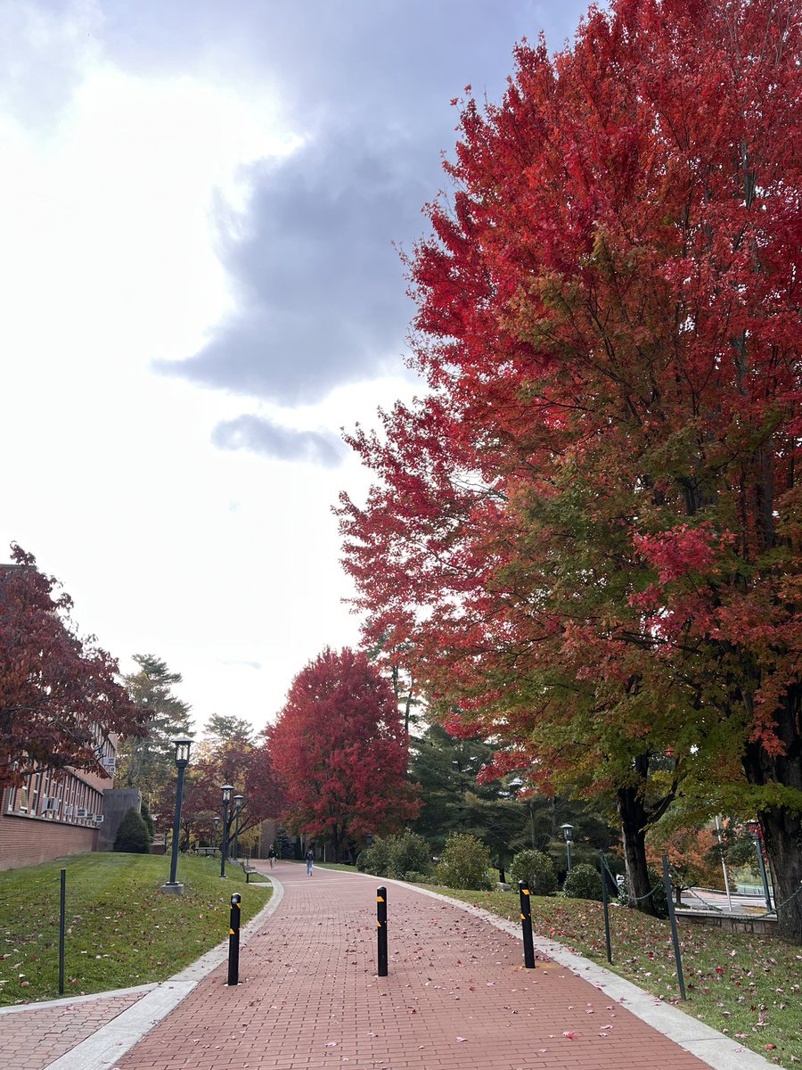 runCLTrun tweet media