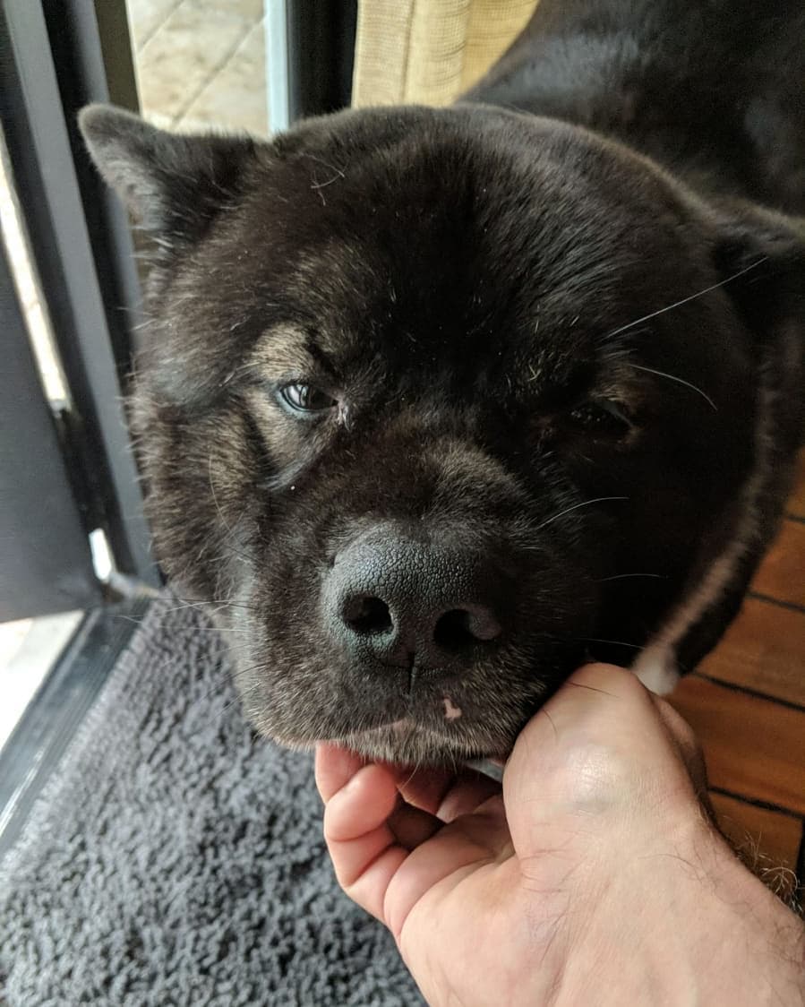 Si es que no lo puedo querer más a mi bebé.