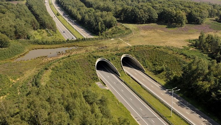 covhanegem's tweet photo. @HansMeijer072 @BrentToderian Wildlife ecoduct https://t.co/1fqygYbIEd