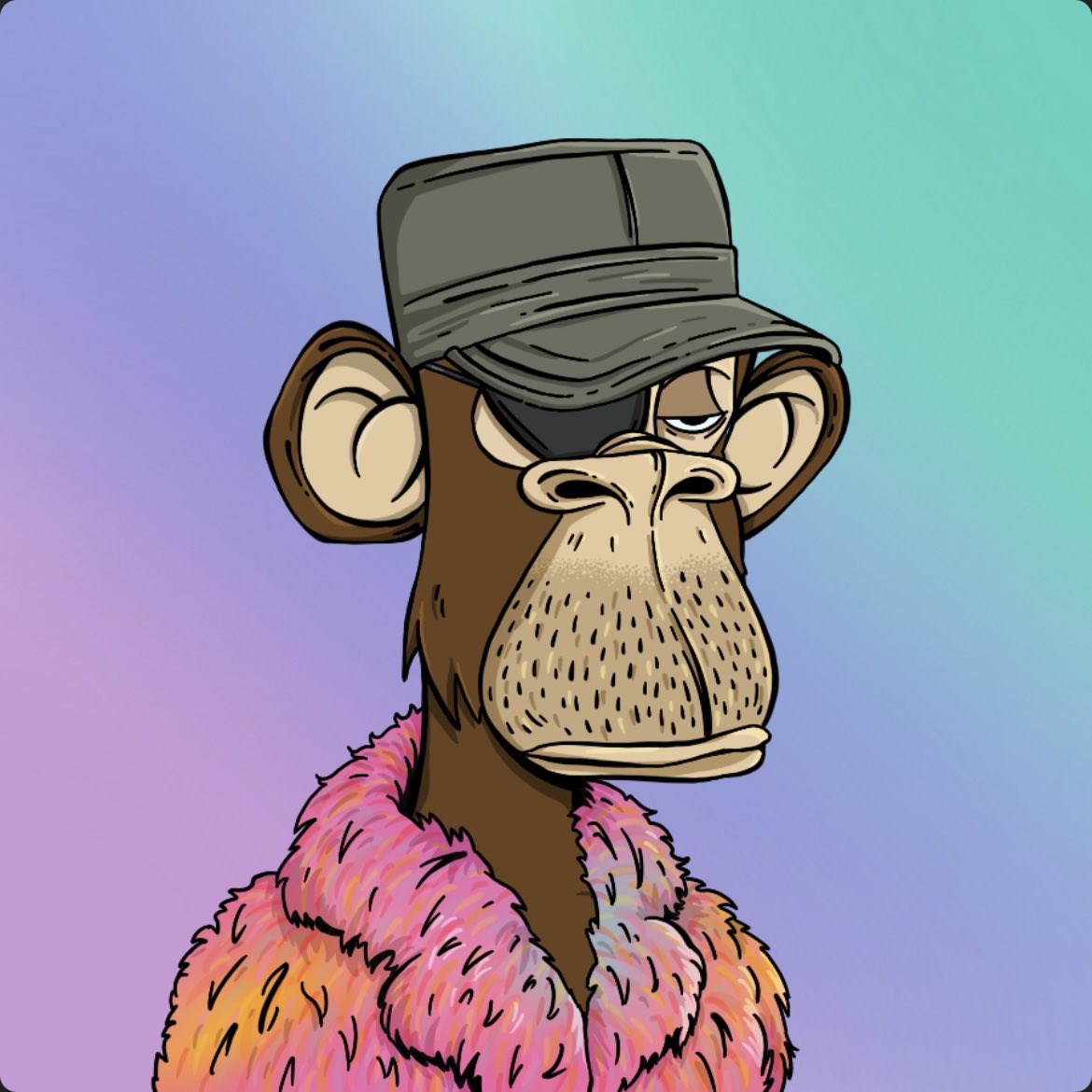 Eindhovenhotspots.nl tweet media