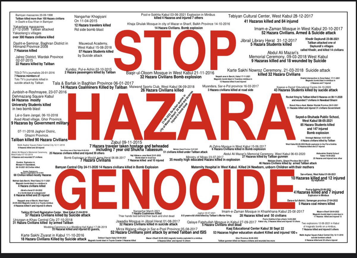 Fatima Alizada tweet media