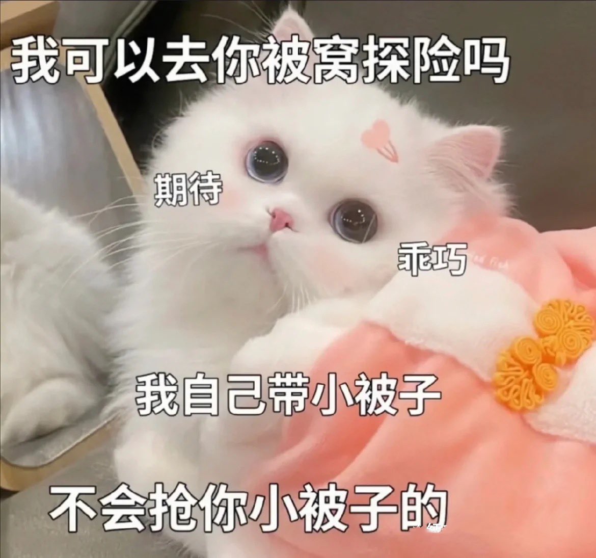 睡不着，给你们说个好笑的，几年前我喜欢录歌，买了一个最最基础款的声卡，送了个话筒，我为了好收拾，弄了个小飘窗桌子架上面了。
然后近几年喜欢拍照，买了个补光灯。
现在我爸一直认为我要做主播了，也不知道我要在哪个平台播，天天旁敲侧击问我是不是要做女主播了
他怎么也想不到我只是想拍照录歌 https://t.co/85YeabdWdP