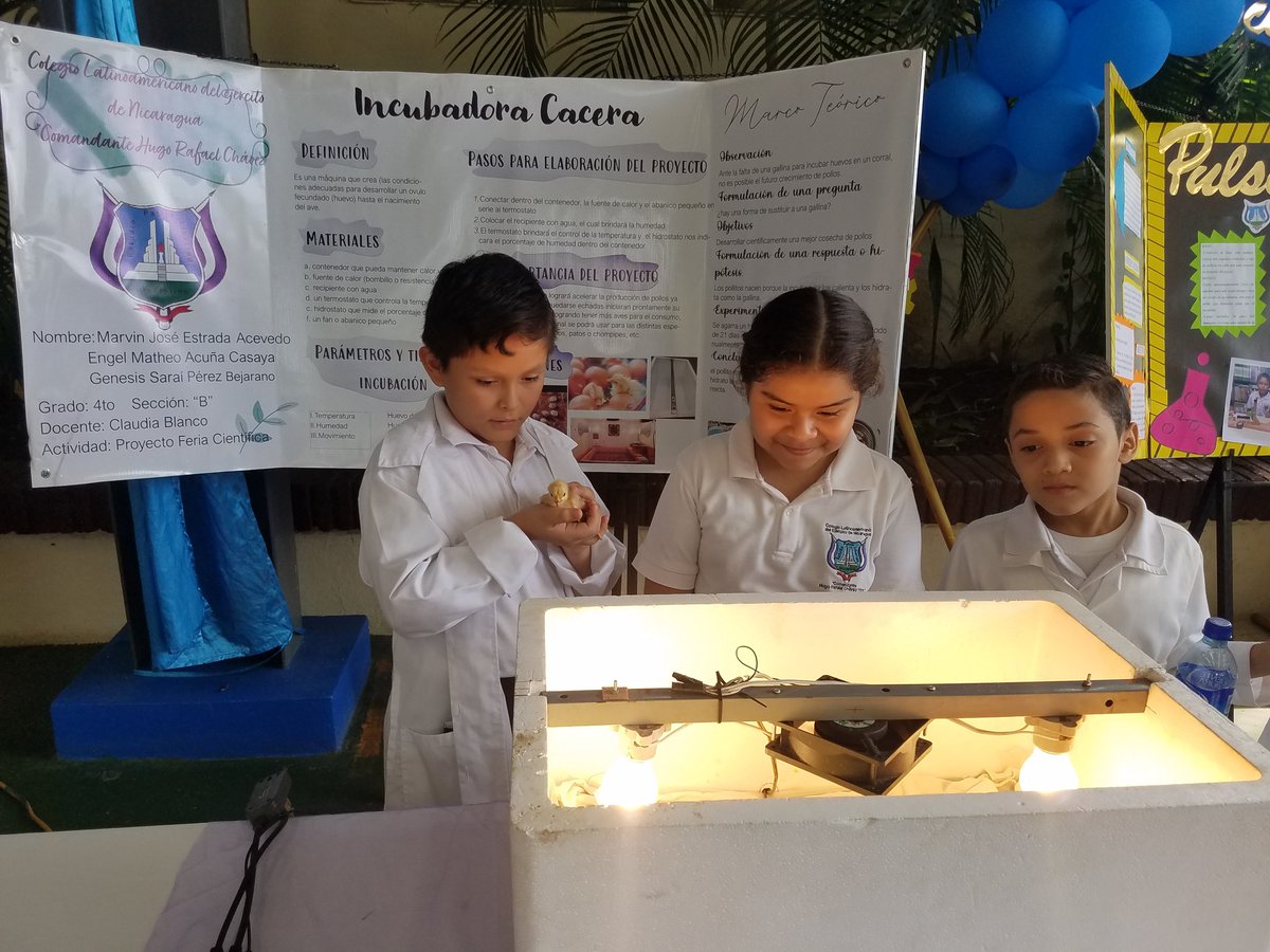 ▶️Desde el Colegio Latinoamericano damos como inaugurada la V Feria Científica de Niños, Niñas y Adolescentes bajo el Marco de la Jornada de Ciencia, Tecnología, Innovación y Emprendimiento 2022.

#Nicaragua #2022PuebloVictorioso #cienciaytecnología