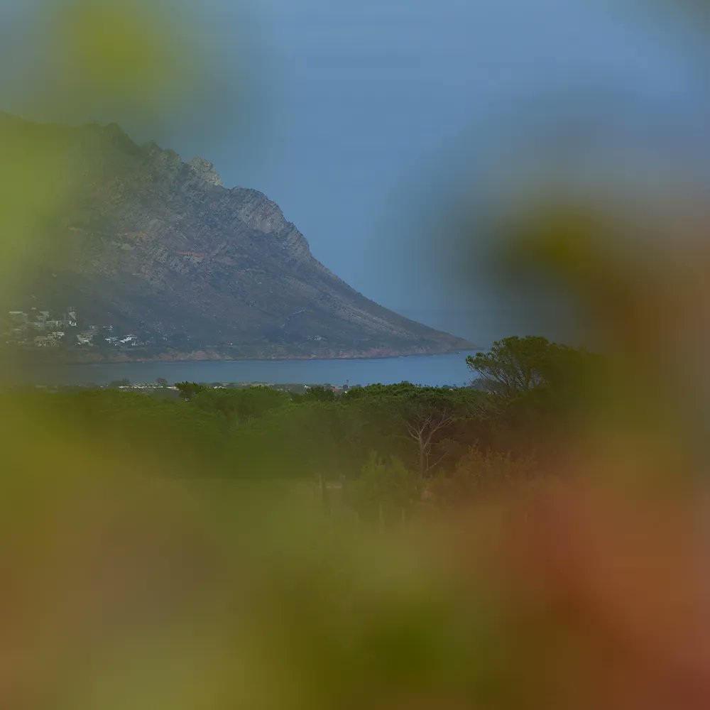 Peaking down at False Bay from the farm. The mouth of the bay faces south and lookd across to Cape Point to the west and Cape Hangklip to the east. What a spot!