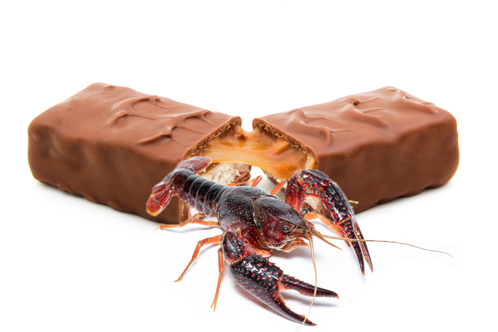 MontanaFWP's tweet photo. Be diligent and check your child's candy this year. Just found an invasive red swamp crayfish shoved inside a Snickers. No words. #fisheriesfriday https://t.co/nCcj9KSI1e