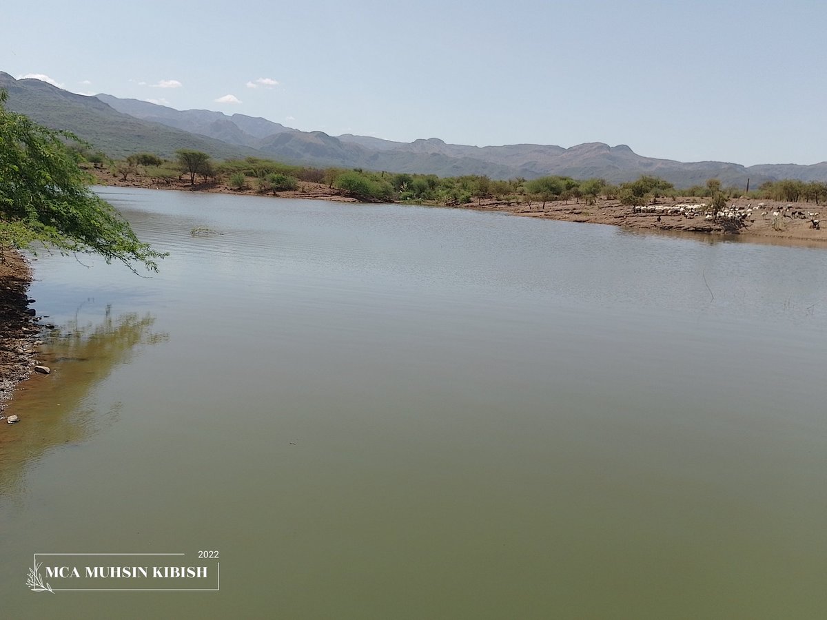 Muhsinbille's tweet photo. That’s a nice place to stop for lunch: Clean water and good scenery at Liwan Dam in Turkana North. https://t.co/wp6XrsCHXe