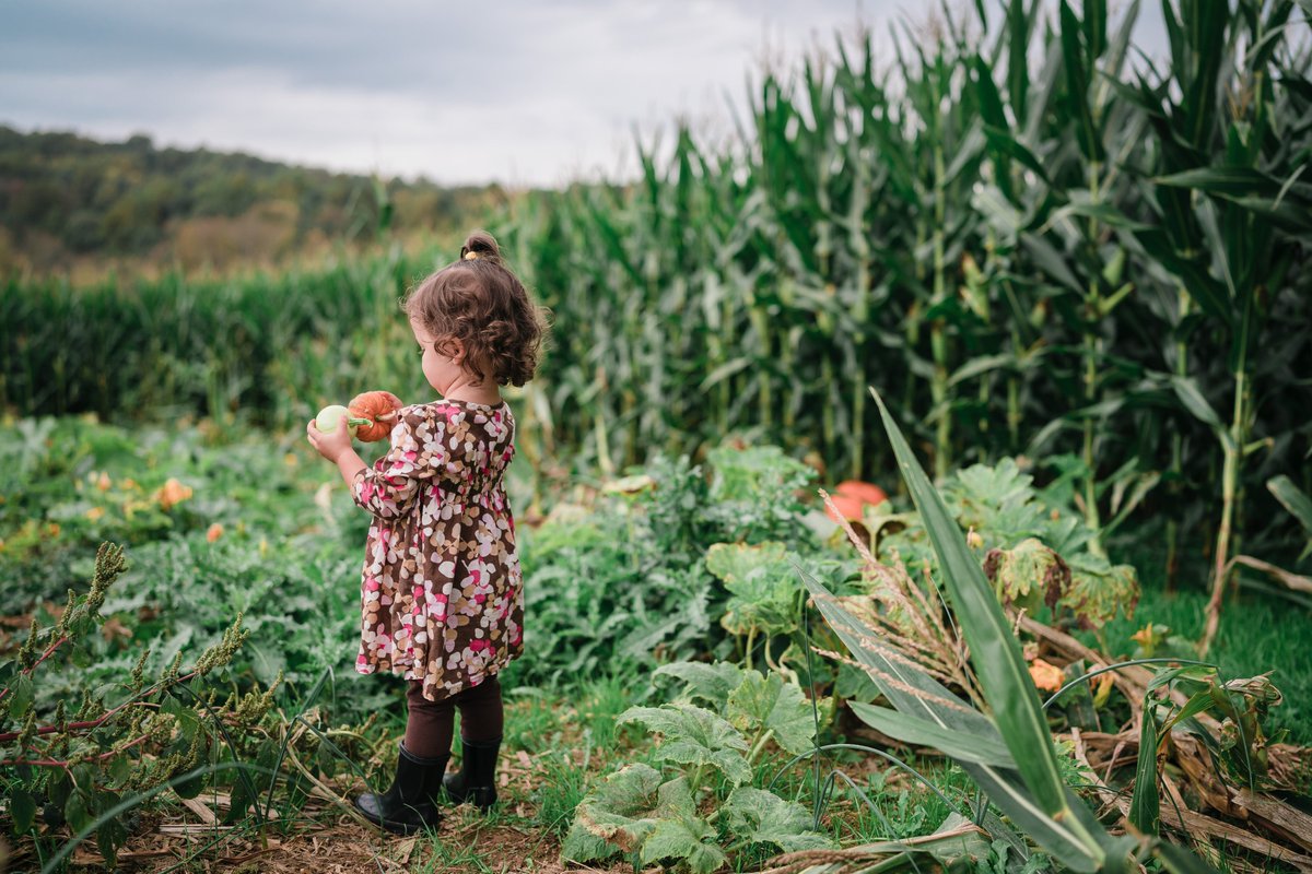 #FridayFact - In a recent longitudinal study of Iowa children, rural children experienced more individual &amp; cumulative risks at birth than urban children. However, children living in rural areas were more likely to have a public preschool experience.
tinyurl.com/2hrpa2d2