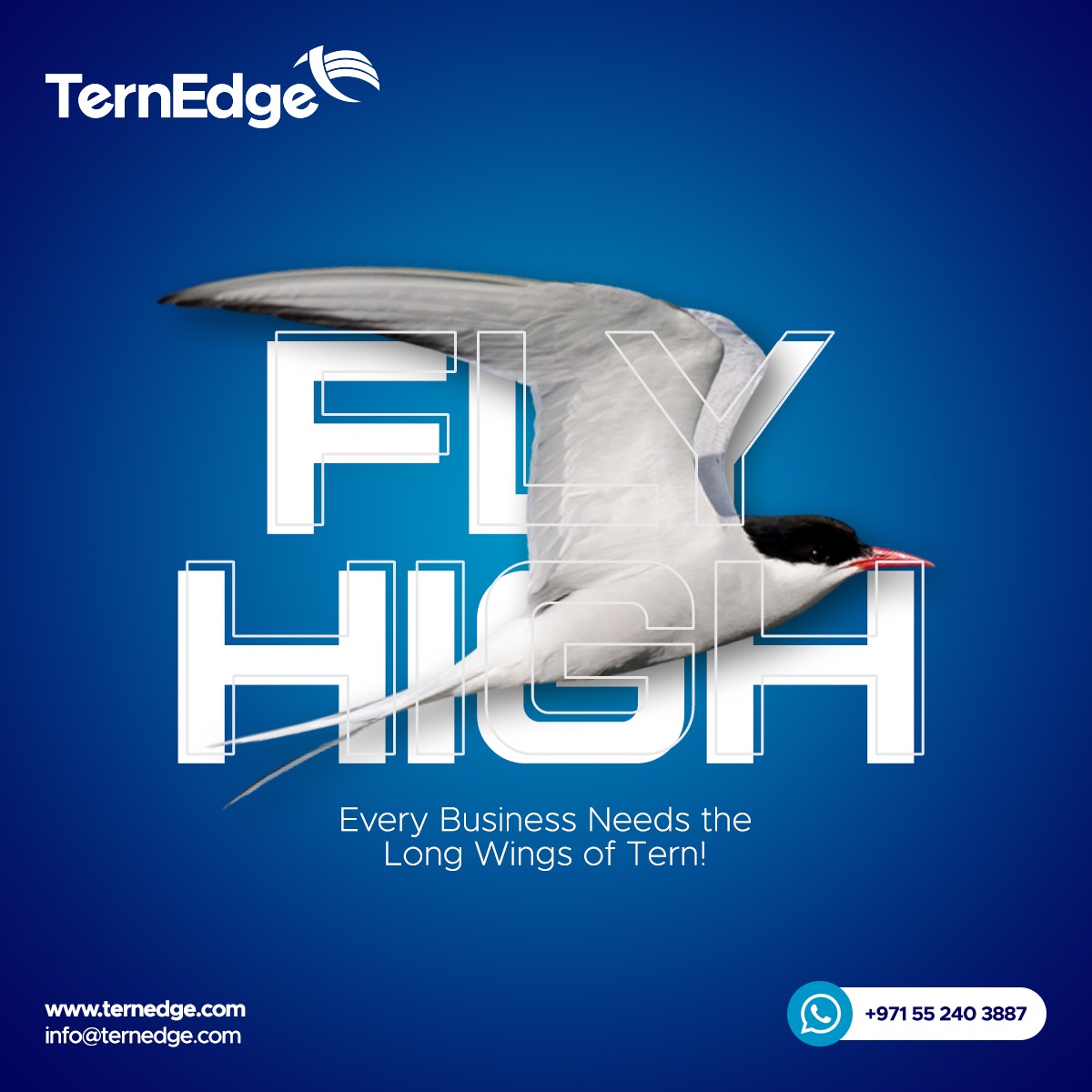 TernEdge's tweet image. Fly High and touch the Sky with us ☁️
⚡ We strive to be a leader in the IT industry and set a benchmark for high-quality services.
#mobileappsbuilder #mobileappdesigners #itserviceprovider #Salesforce #salesforcetower #SalesforceCRM #webdevelopment #ternedge #leader #quality