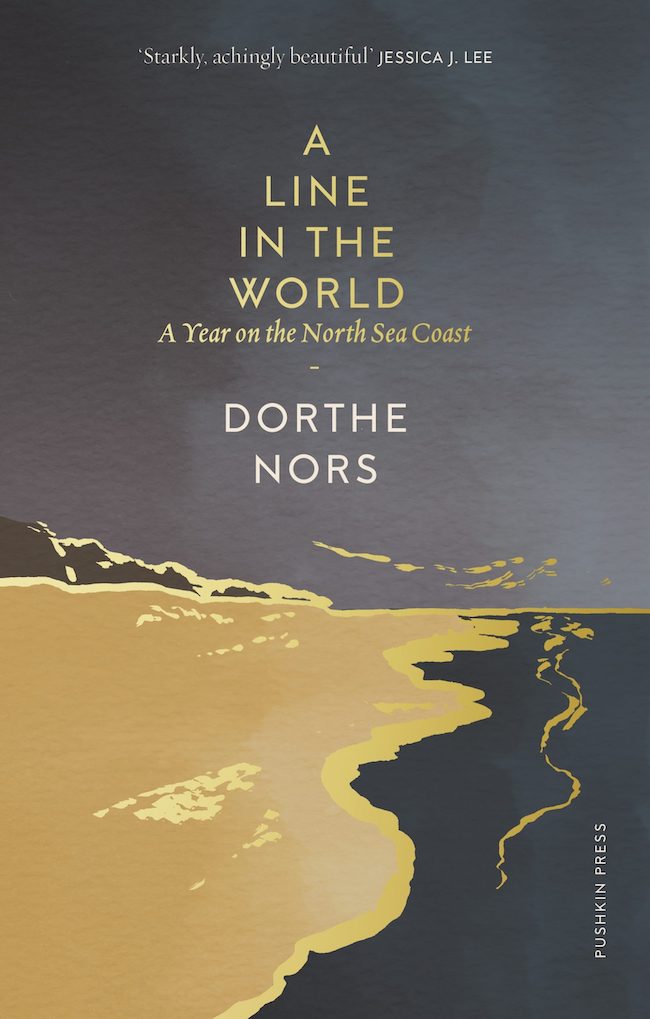 The landscapes of @DortheNors’ ‘A Line in the World’ — a story of shipwrecks and storm surges, cold-water surfers, sun-creased beach mums and resolute sailor’s wives — persist in the memory as a painterly afterglow, writes Steven Lovatt bit.ly/3gb5Waf