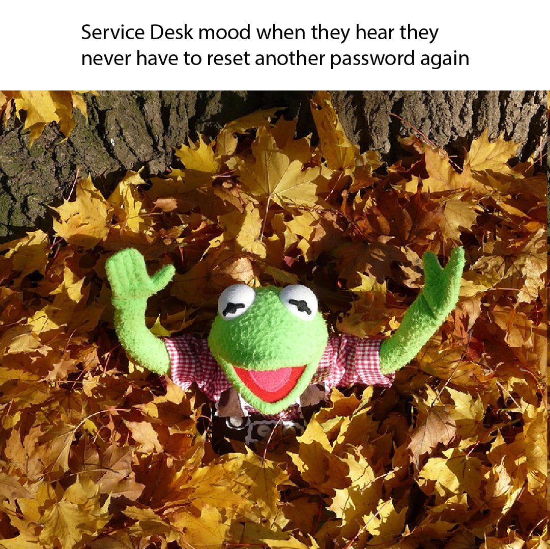 We're in the business of making work feel like magic... or like Kermit in the fall 😉🍂 By automating repetitive tasks with conversational AI, you can free up your support teams for more impactful work — and minimize distractions and down time for your employees.