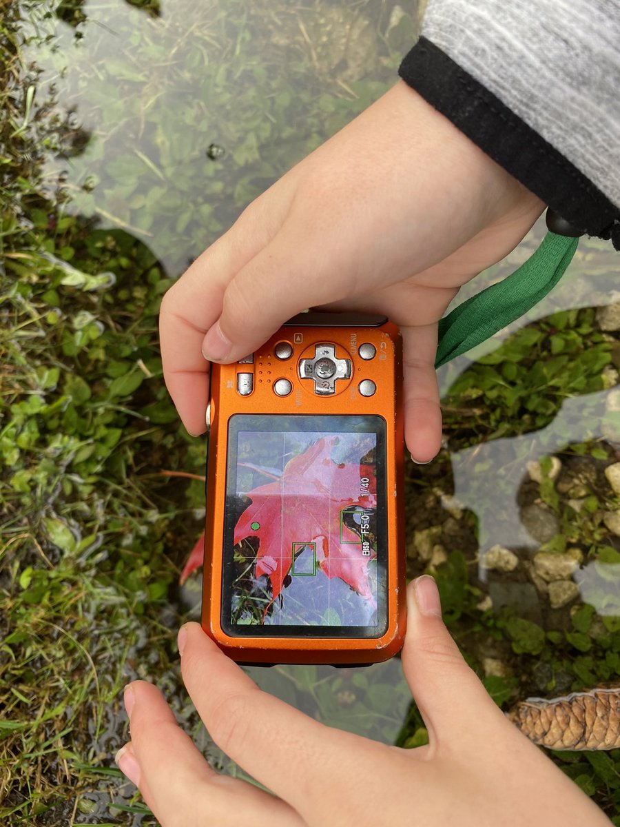 MmeHalpin's tweet photo. @Brisbane_PS Grade 6 students spent the past two days participating in @focusonnatureca workshops. We had such an amazing time taking and editing photos of nature around our school. https://t.co/EWyEXpGaRA
