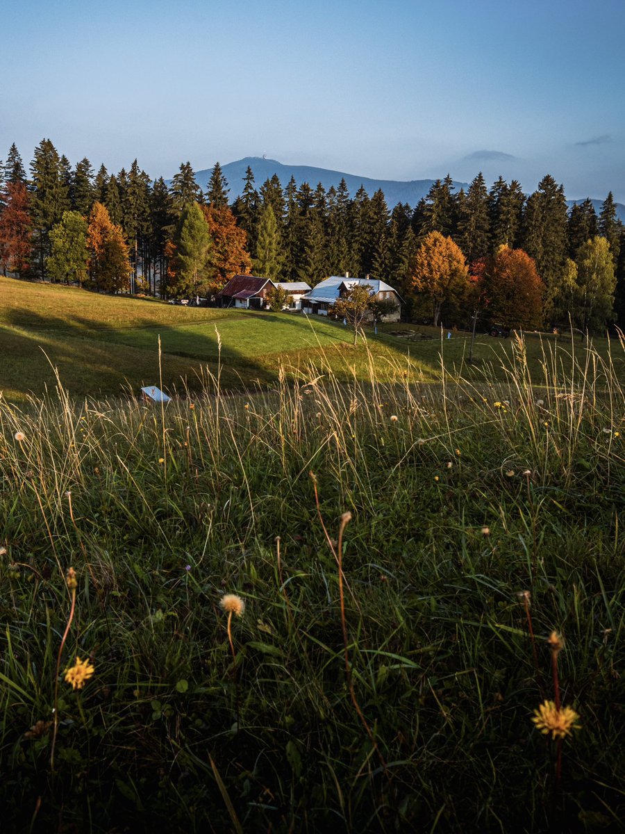 Kiknak's tweet photo. Pár podzimních…🍁📸🍂 #sance #starehamry #czechrepublic #mountains #nature #travel #autumn #landscapes #photography #fujifilm #fujifilmcz #fujifilm_xseries #mapycz #peakdesign https://t.co/65W7duv46J